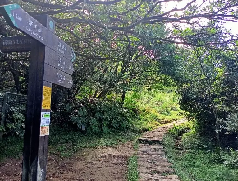 陽明山步道天氣 陽明山步道天氣