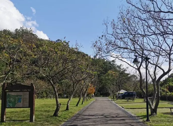 貴子坑步道 貴子坑步道