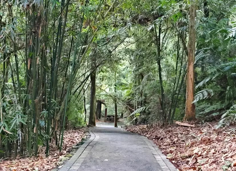 台灣步道推薦 台灣步道推薦