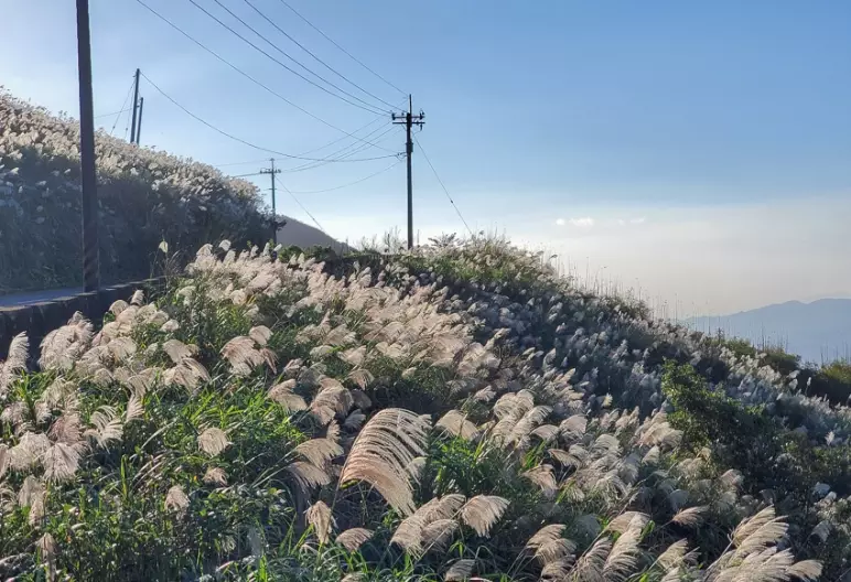 五分山秋景 五分山秋景