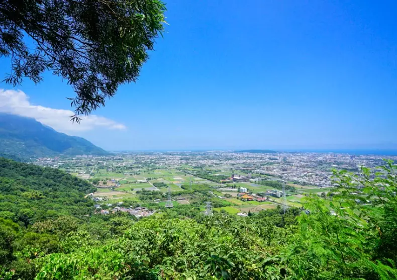 楓林步道 楓林步道