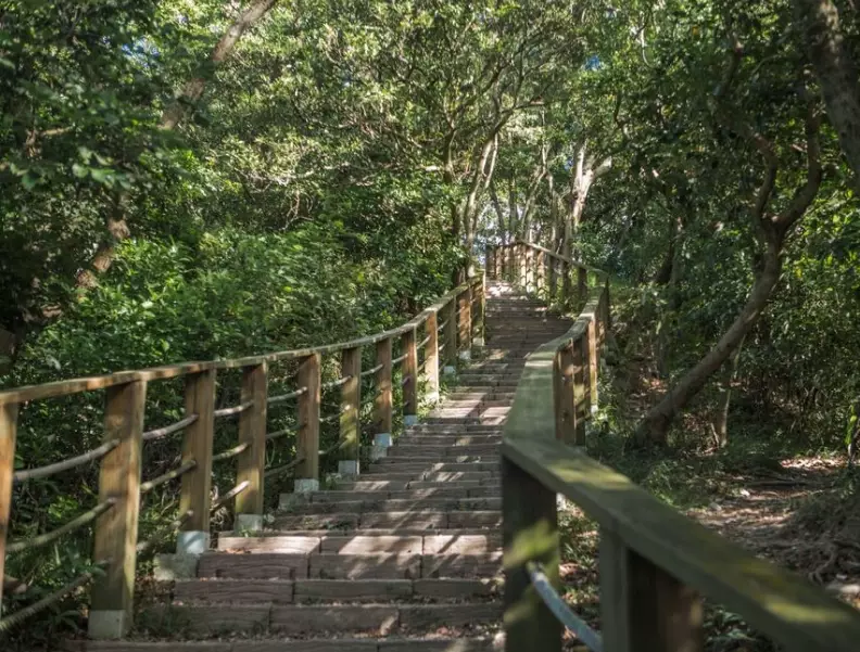桃園蘆竹步道