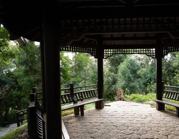 貴子坑親山步道 貴子坑親山步道