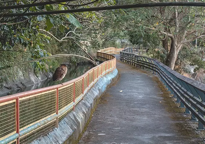 生態步道餐廳 生態步道餐廳