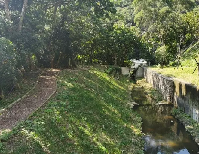 貴子坑親山步道 貴子坑親山步道