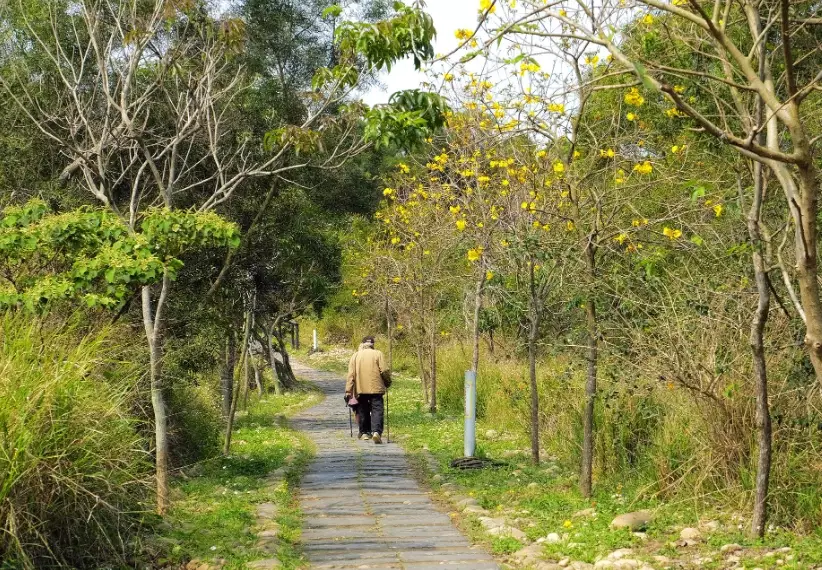 竹子坑步道 竹子坑步道