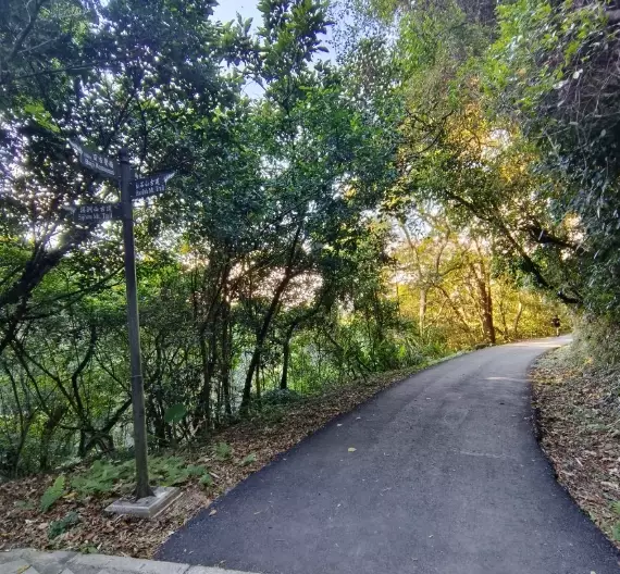百吉林蔭步道