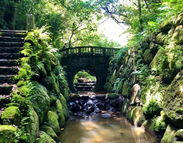虎山步道 虎山步道