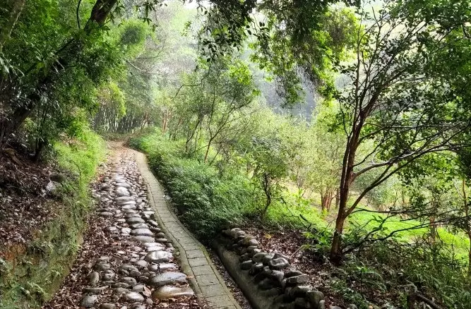 楊梅步道 楊梅步道