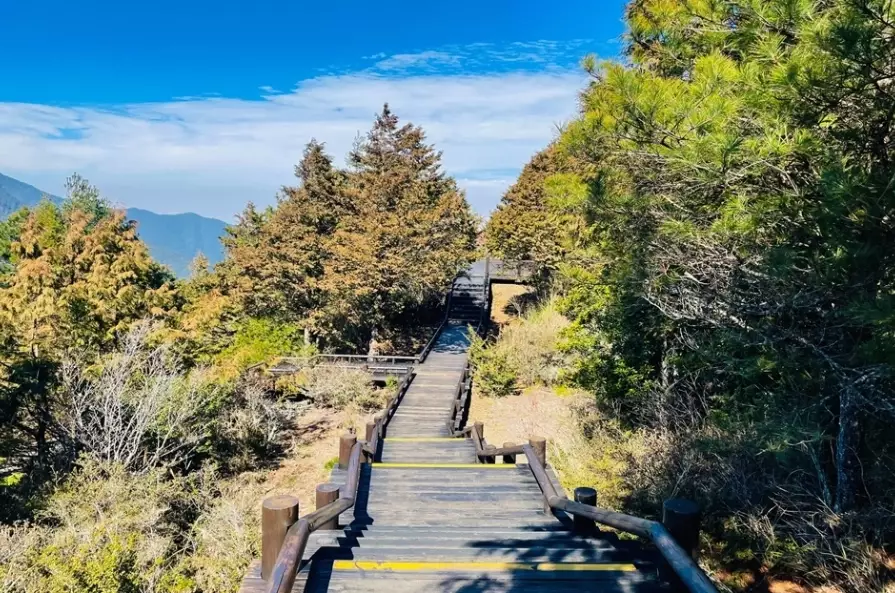 觀霧天氣 觀霧天氣