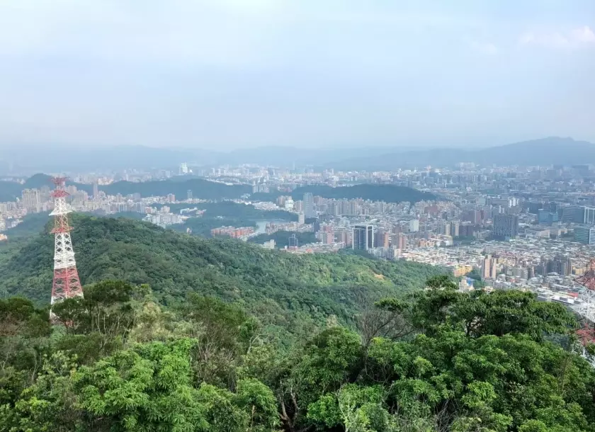 金面山桃花