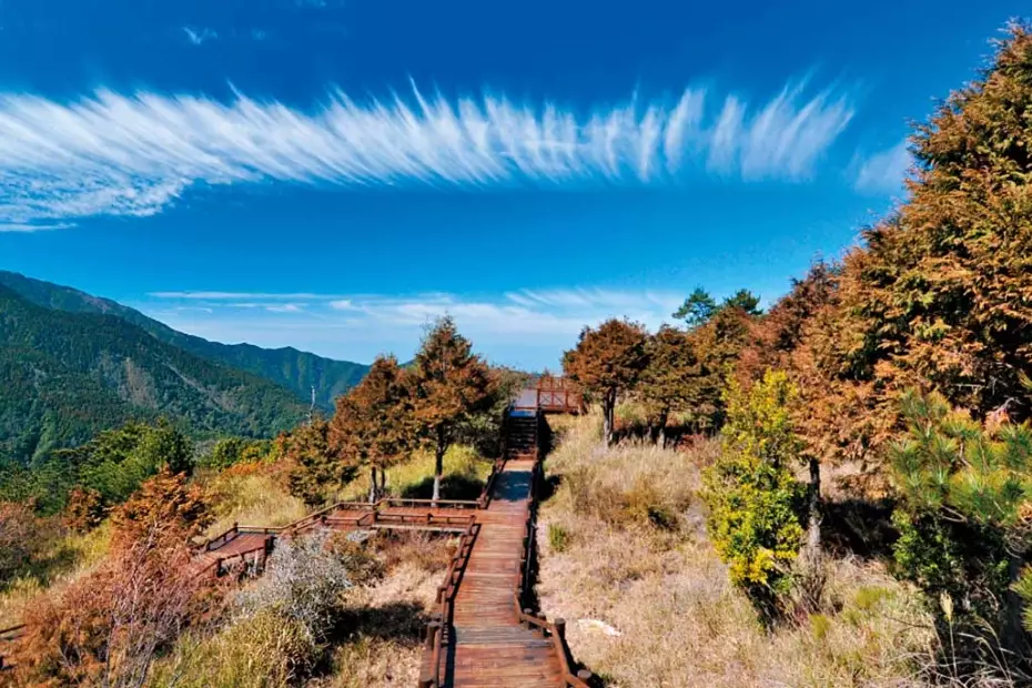 觀霧附近旅遊