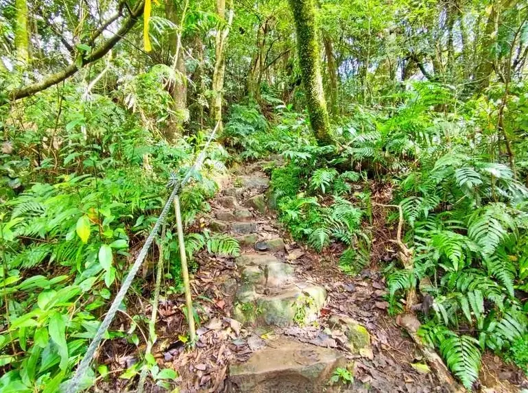 翡翠水庫登山步道 翡翠水庫登山步道