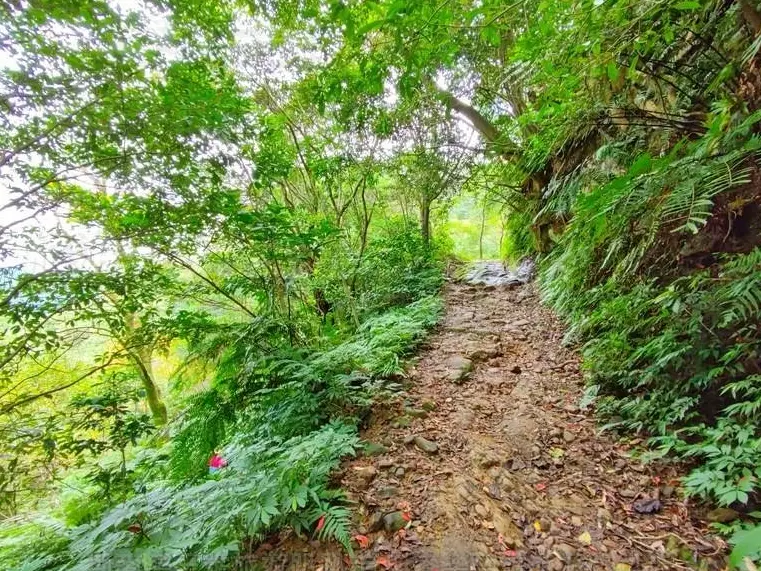 二格山登山步道 二格山登山步道