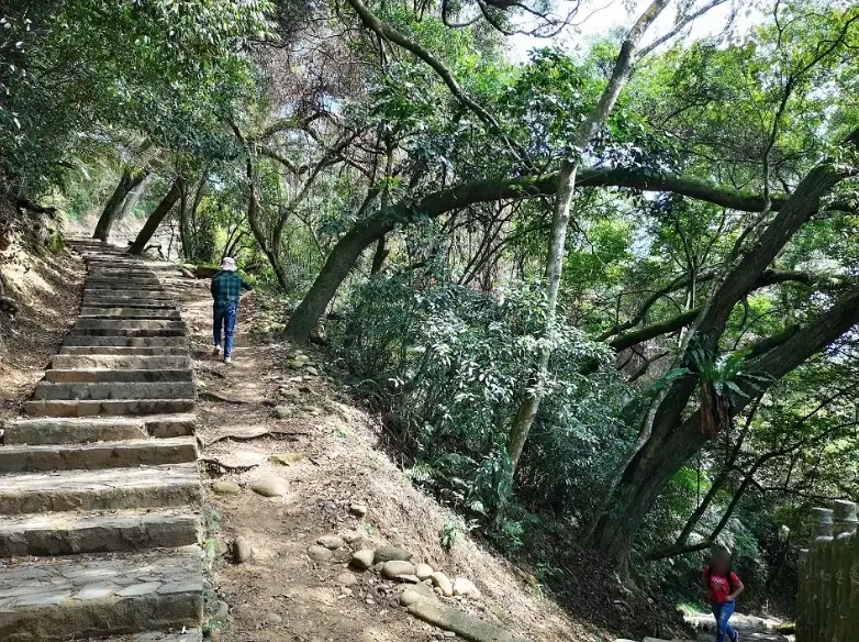 飛鳳山步道 飛鳳山步道