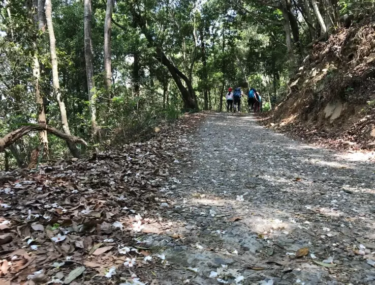 谷關七雄登山廁所 谷關七雄登山廁所