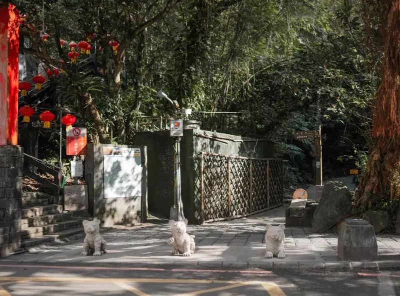 虎山步道 虎山步道