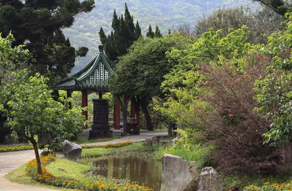 陽明山步道 陽明山步道