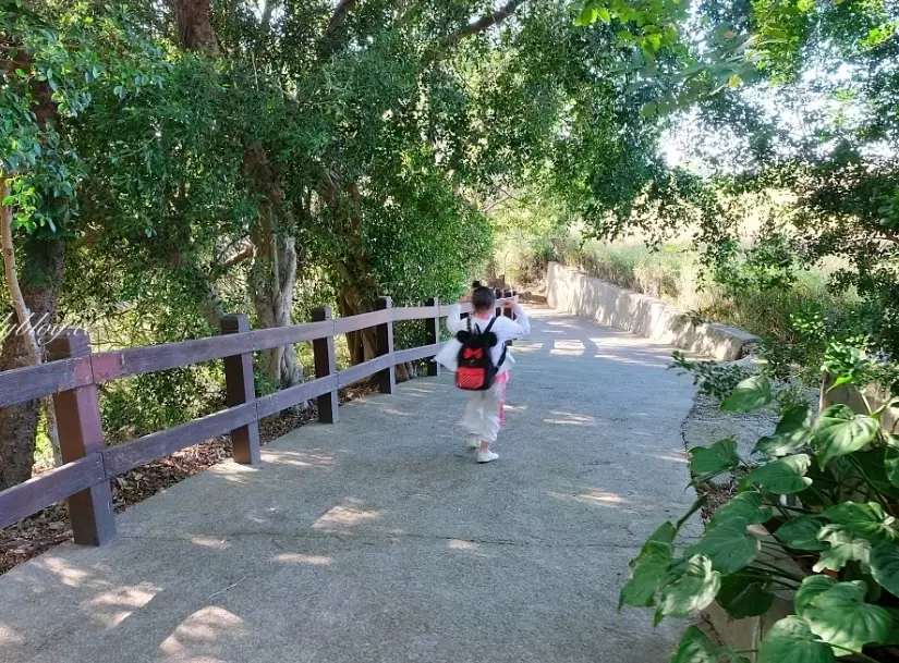 竹子坑步道 竹子坑步道