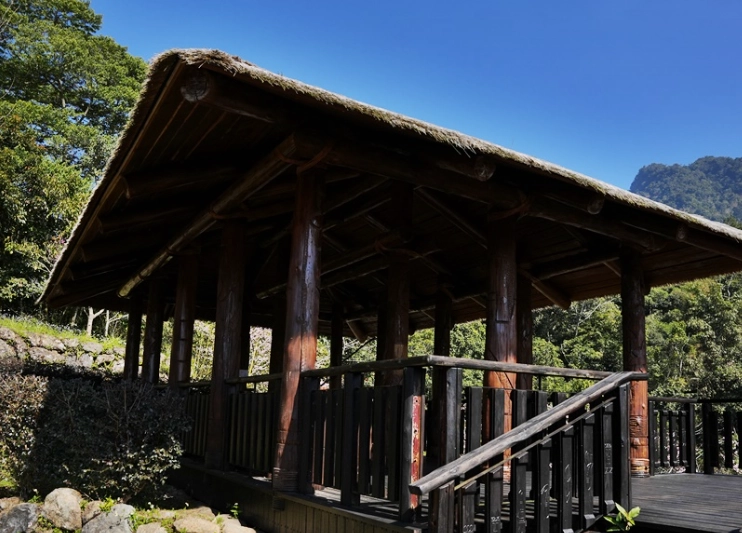 阿里山步道推薦 阿里山步道推薦