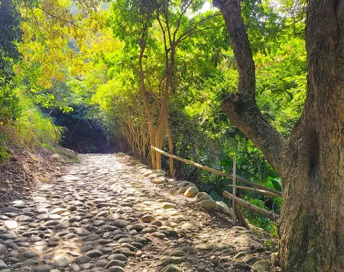 彰化步道 彰化步道