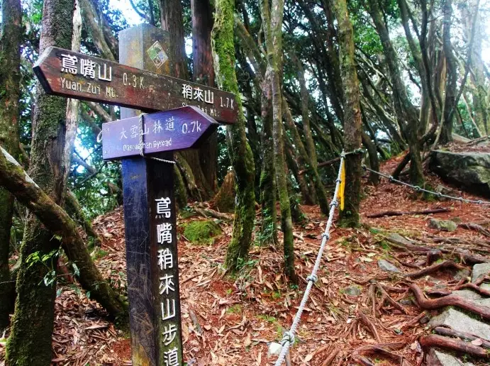 橫嶺山步道 橫嶺山步道