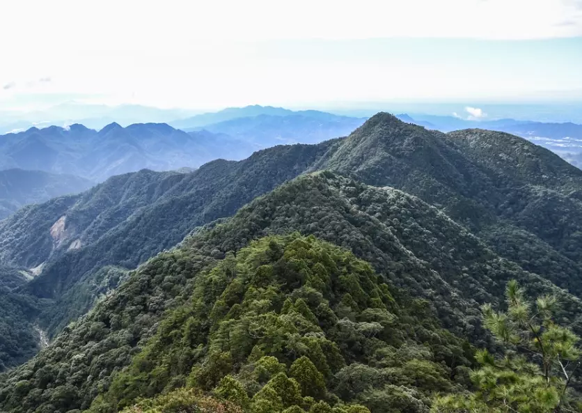 橫嶺山鳶嘴山縱走 橫嶺山鳶嘴山縱走