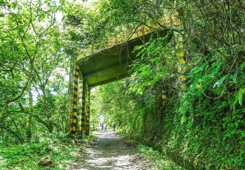 佐倉步道 佐倉步道