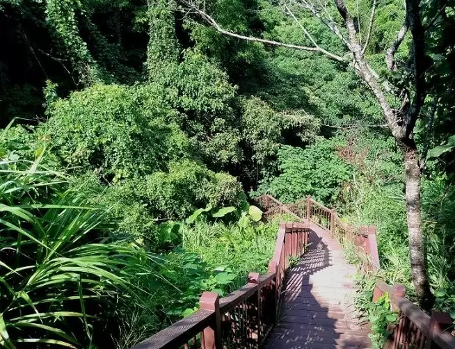 赤水崎園區 赤水崎園區