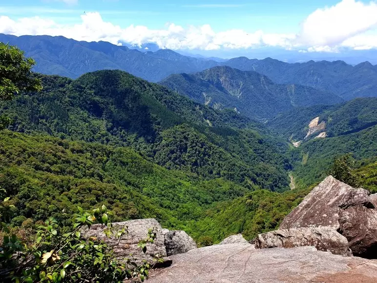 鳶嘴山登山路線 鳶嘴山登山路線