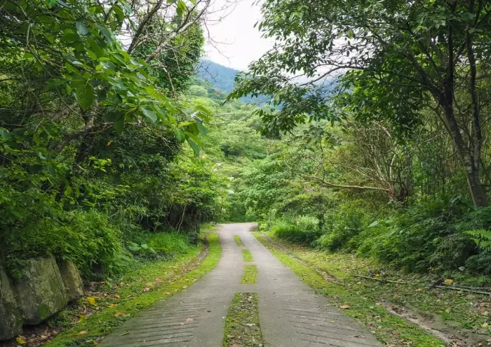 佐倉步道 佐倉步道