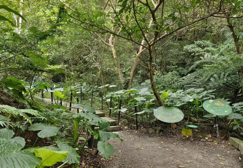 拇指山步道
