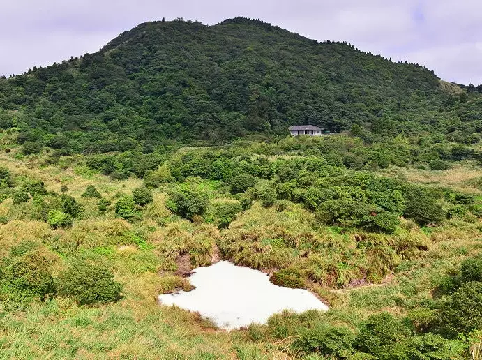擎天崗交通 擎天崗交通