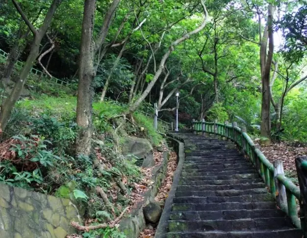 貴子坑親山步道 停車