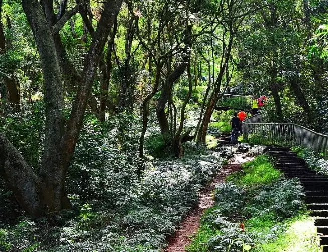 田中森林公園步道 田中森林公園步道