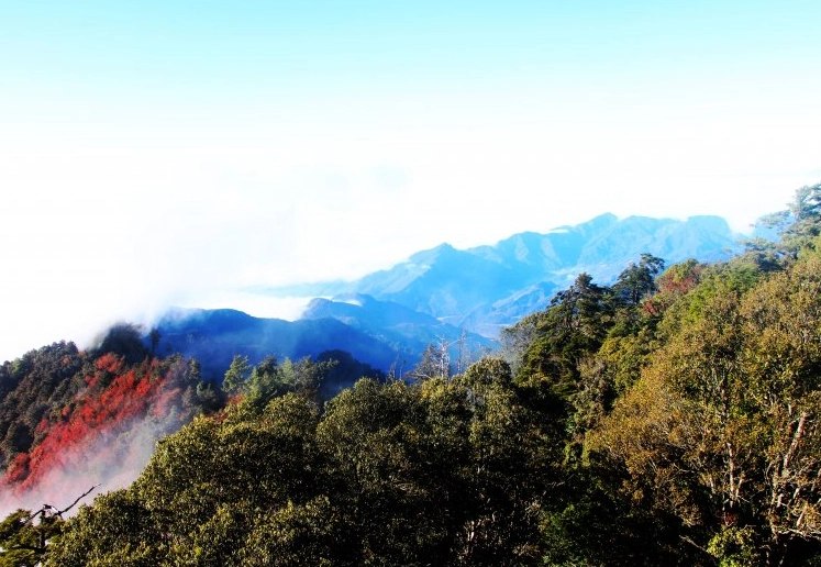 鳶嘴山登山路線 鳶嘴山登山路線