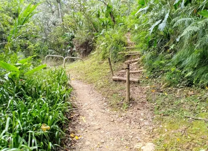 福源山步道 福源山步道