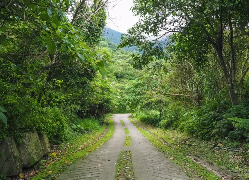 花蓮健行步道 花蓮健行步道