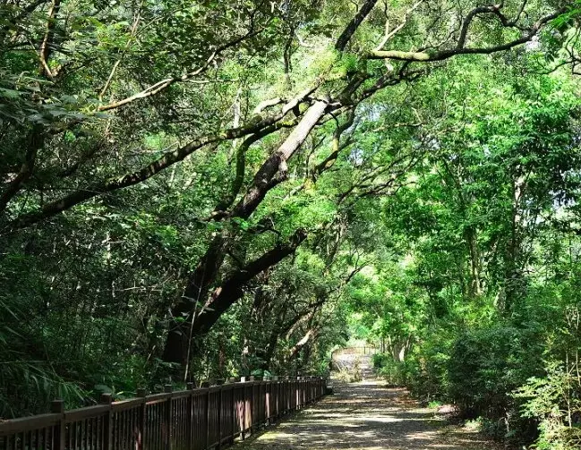 田中森林公園 田中森林公園
