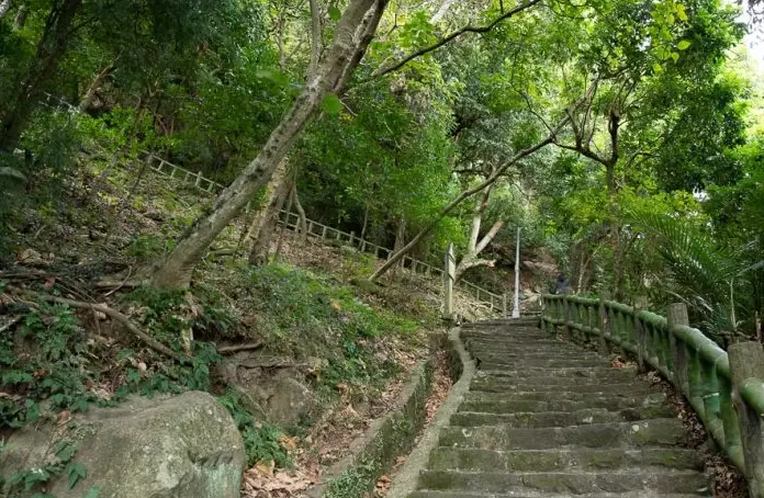 貴子坑親山步道 停車