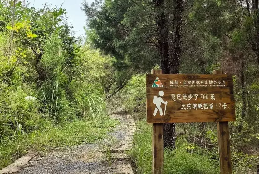 福源山步道 福源山步道