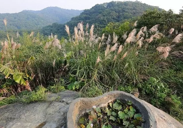 福源山步道 福源山步道