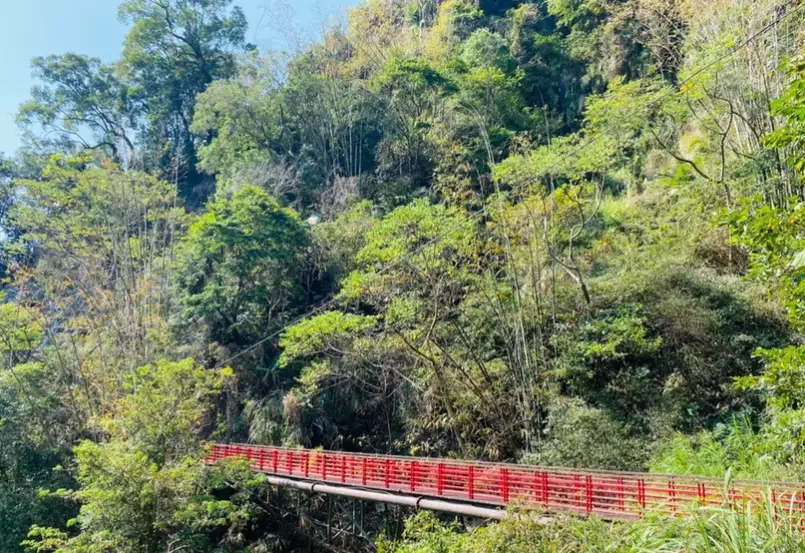 竹坑溪步道 挑戰 竹坑溪步道 挑戰