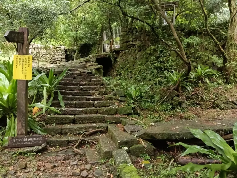 粗坑頭山 步道 粗坑頭山 步道