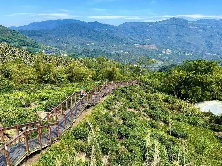台北親山步道 台北親山步道