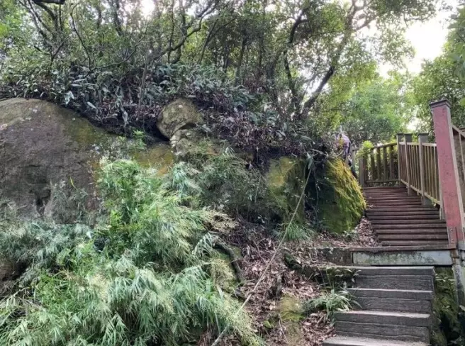 鶯歌石 鶯歌石