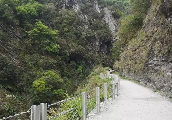九曲洞步道 九曲洞步道