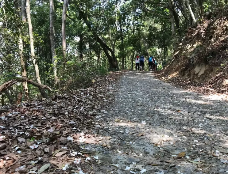 東卯山氣候 東卯山氣候