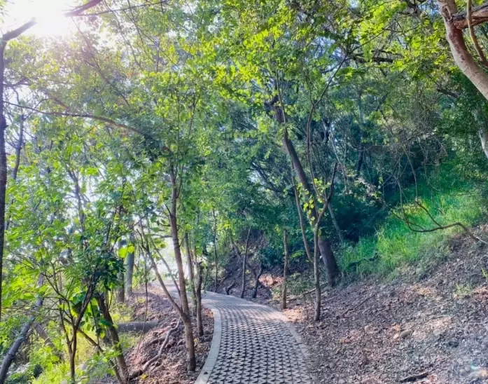 台中登山步道 台中登山步道