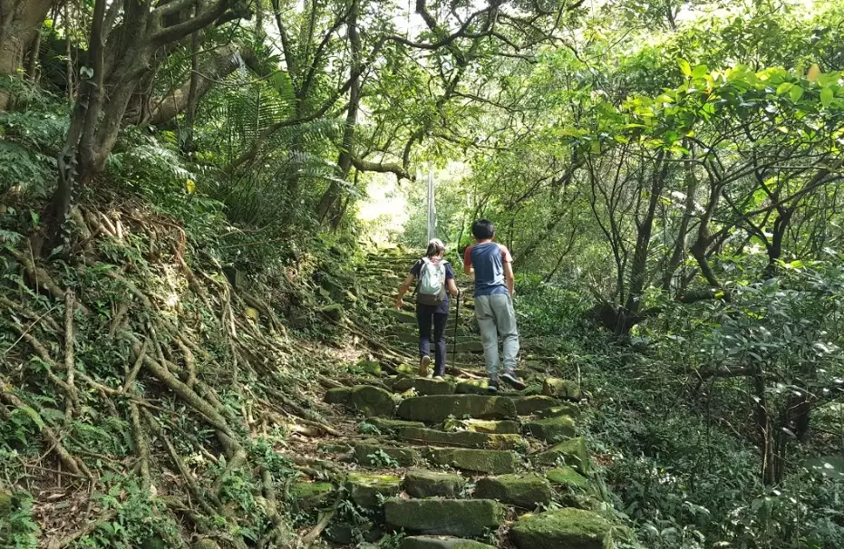 粗坑頭山 步道 粗坑頭山 步道
